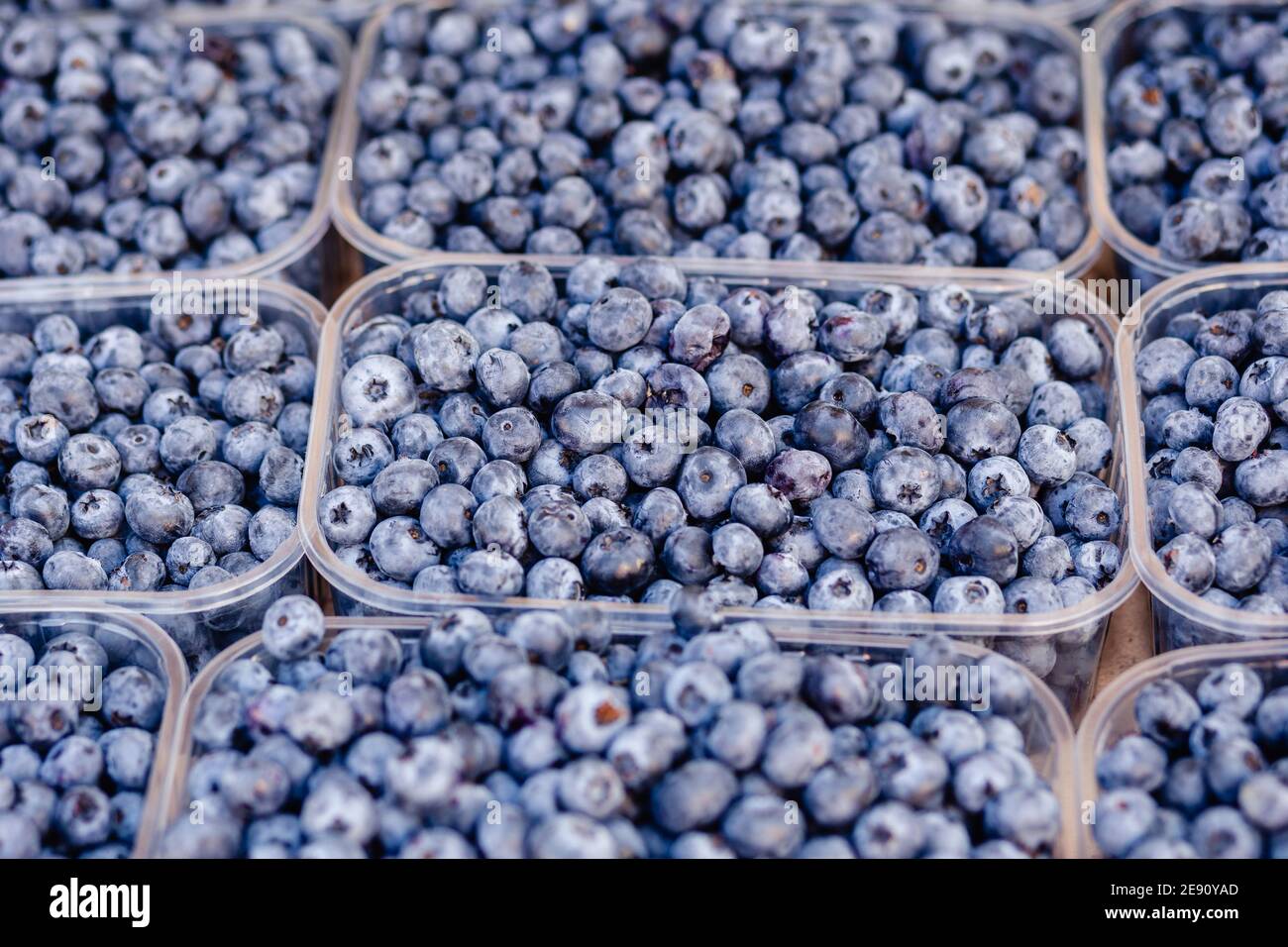 Blueberry in plastic transparent container box for sale farmer's market Fresh berries. Selective focus Stock Photo