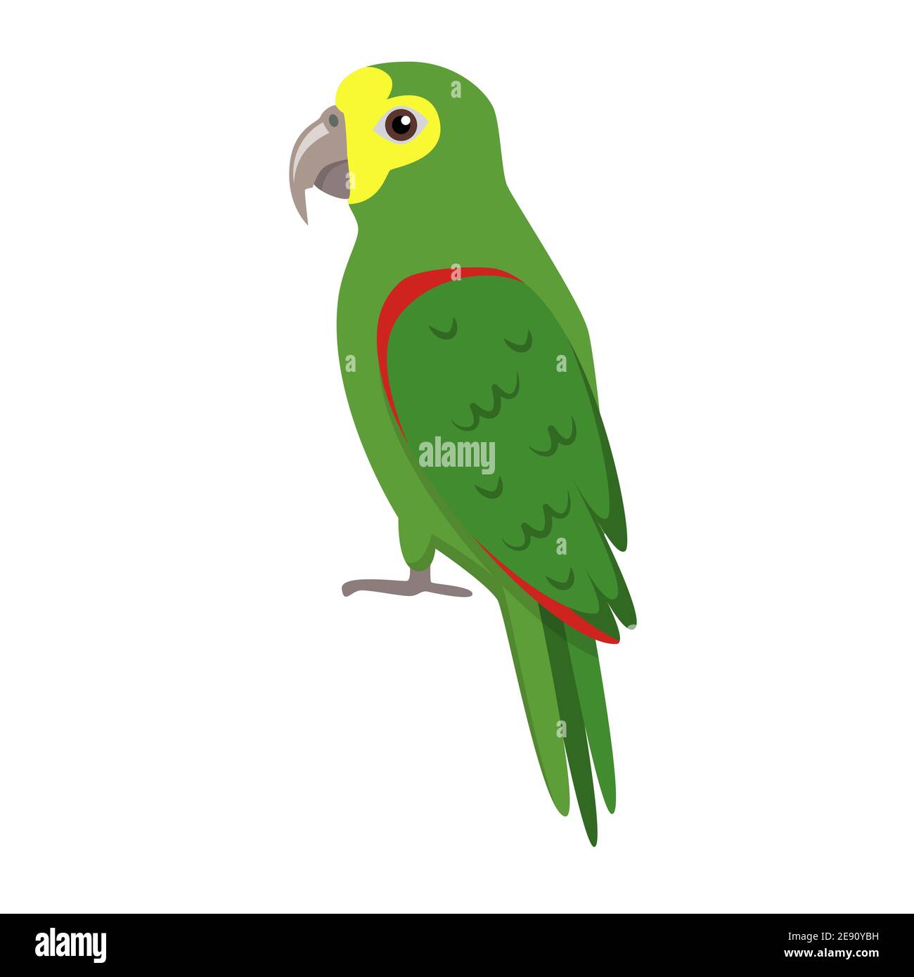 Amazon parrot icon in flat style. Exotic tropical bird symbol on white background. Amazona ochrocephala. Stock Vector