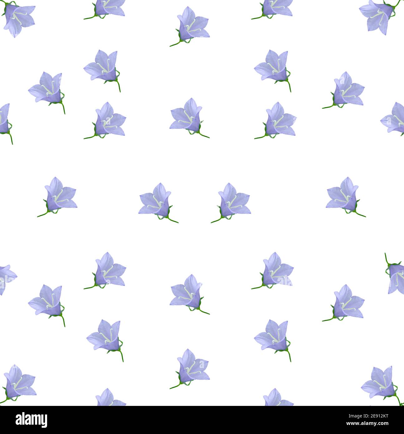 seamless pattern with lilac bell flowers, white background Stock Photo ...