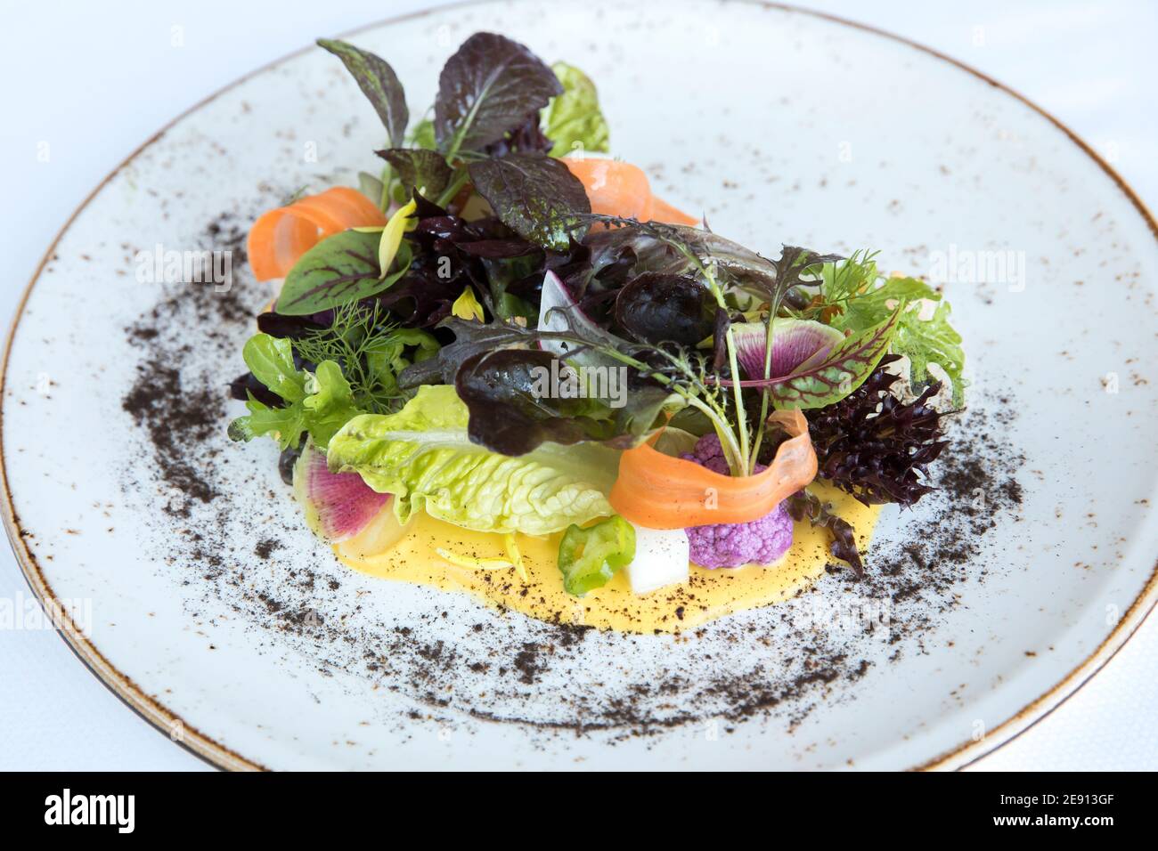 https://c8.alamy.com/comp/2E913GF/colorful-gourmet-salad-with-mixed-greens-carrot-purple-cauliflower-2E913GF.jpg