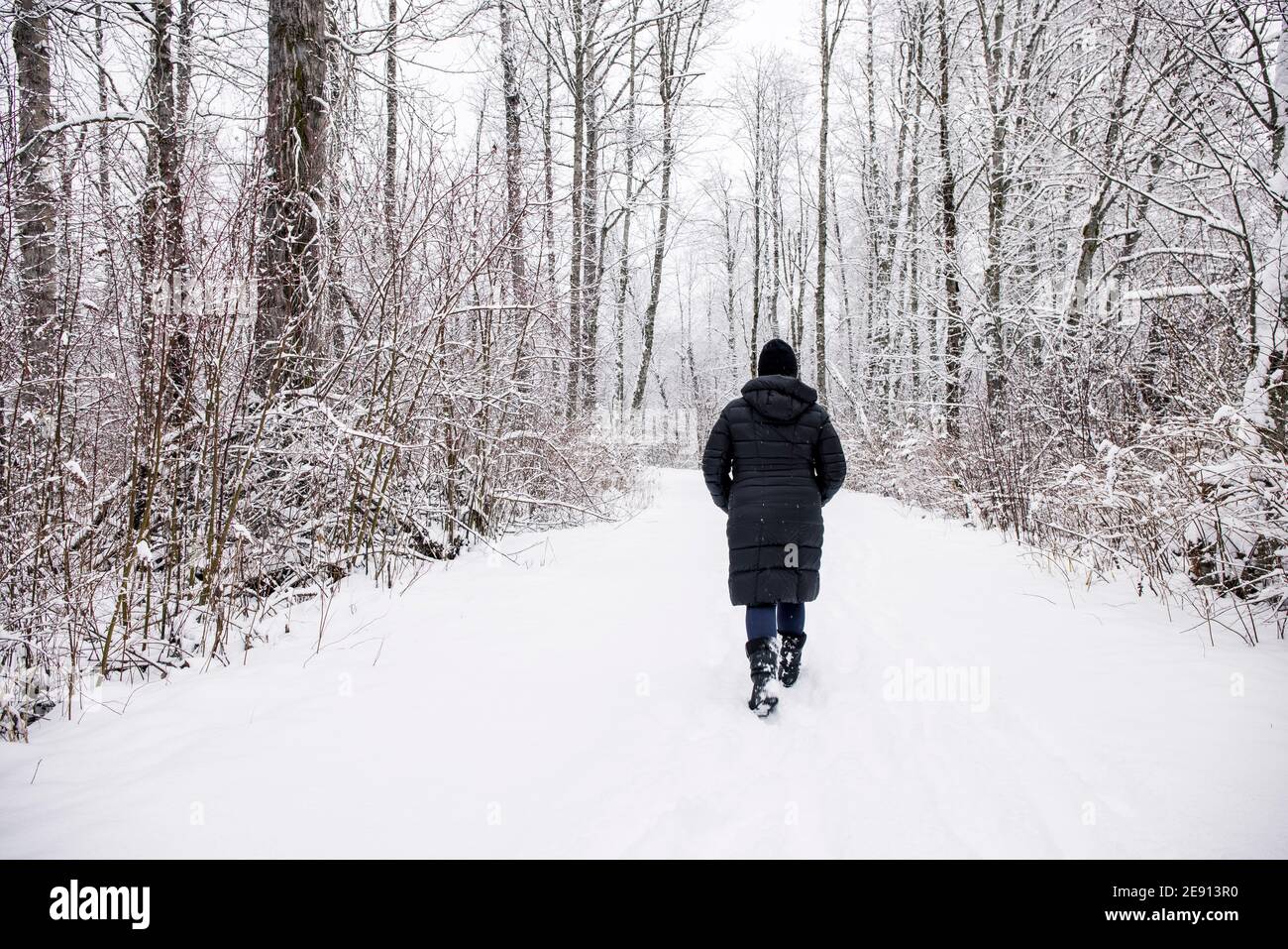 Back view of anonymous female in outerwear walking along snowy path in forest and enjoying winter stroll in Pemberton Stock Photo