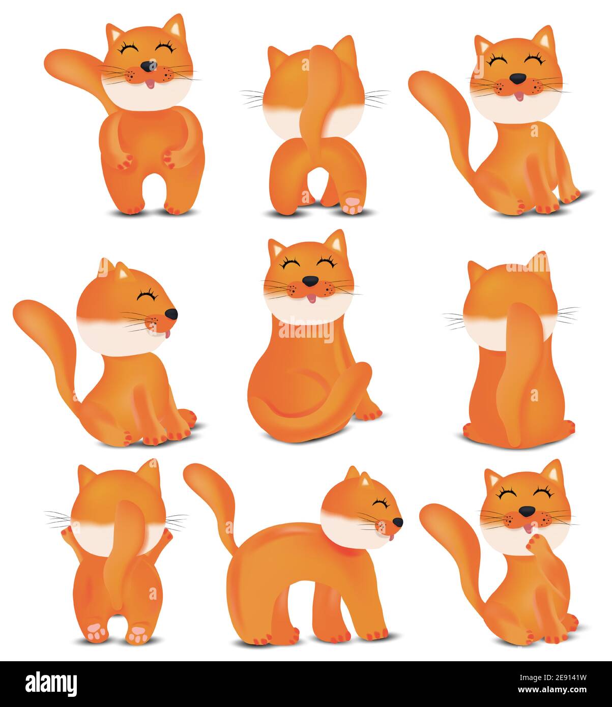 Collection of Cute cats in different poses. Domestic, funny cats on ...