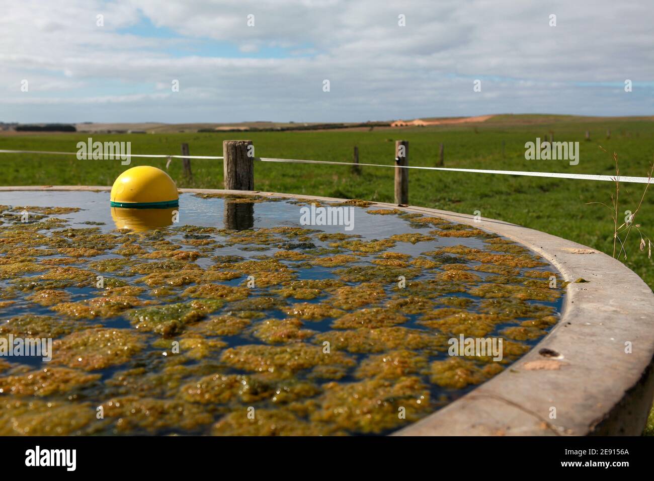 Concrete trough hires stock photography and images Alamy