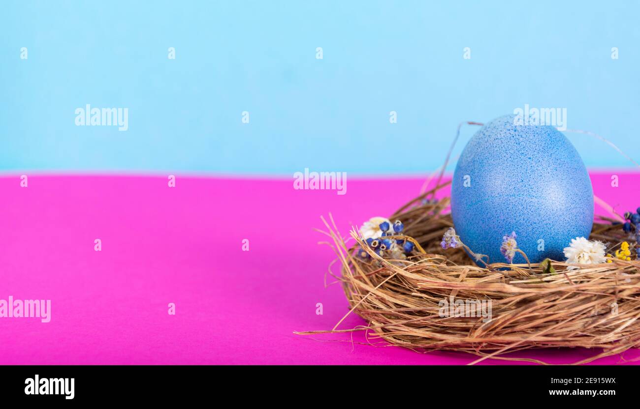 Colorful background with Easter eggs on pink and blue background. Happy ...