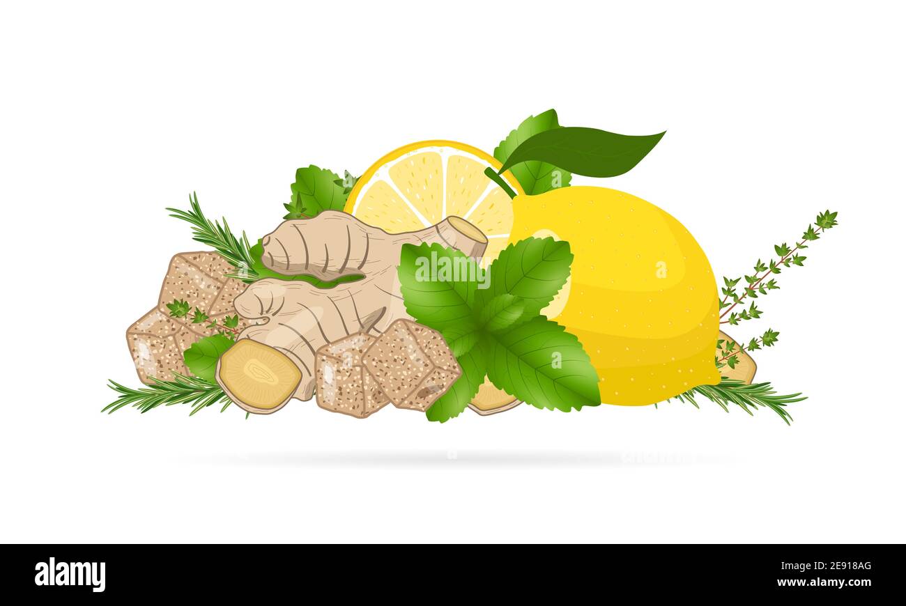 Ginger root slices, lemon, mint leaves, thyme and cane sugar. Vector illustration on white background. Natural home remedies, cold and flu treatment. Stock Vector