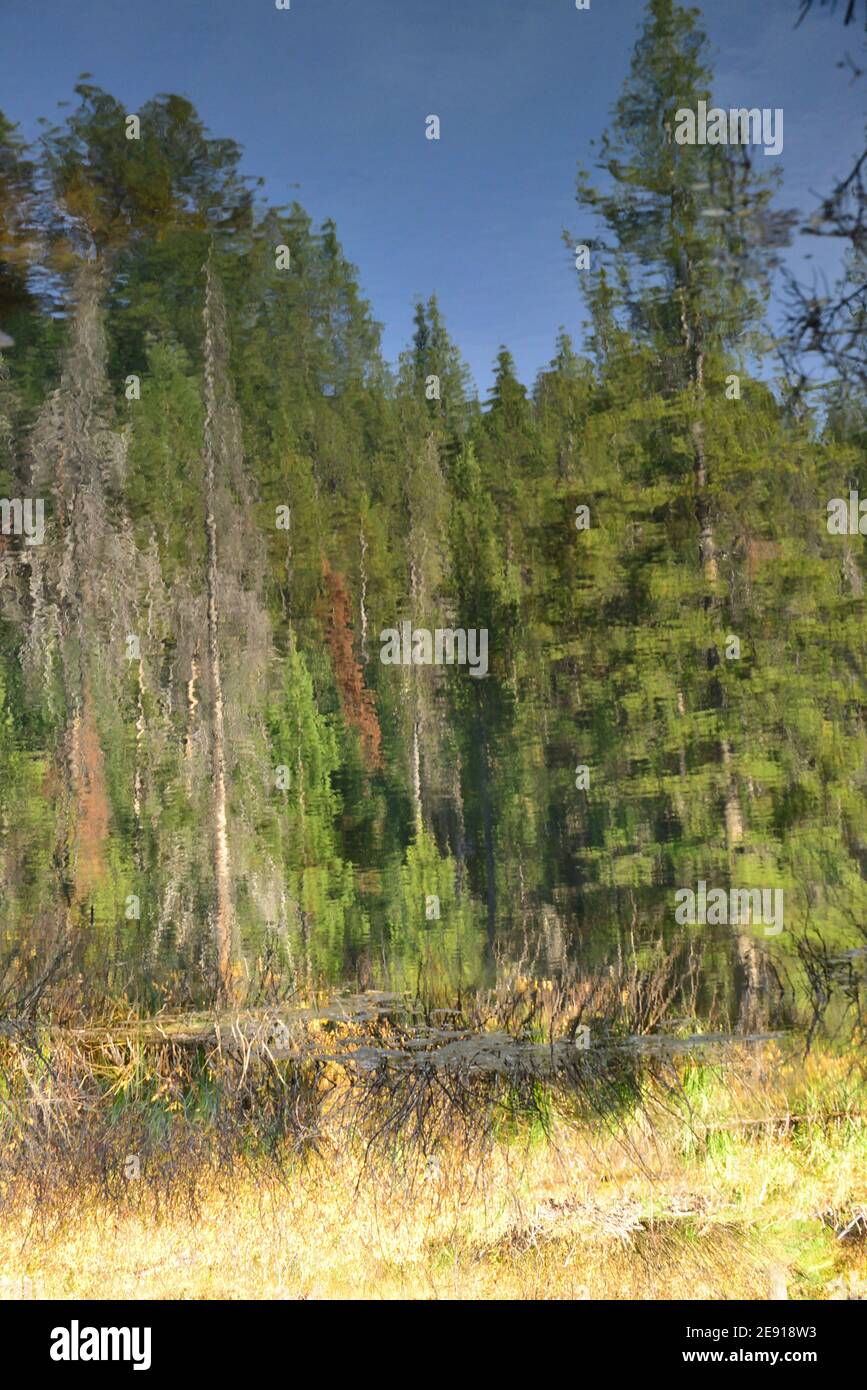 Upside down Reflection Stock Photo Alamy