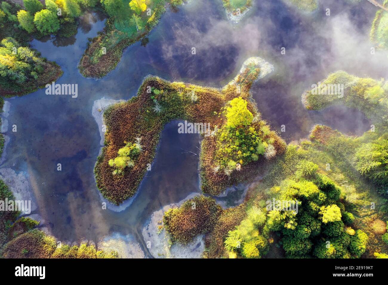Aerial view marshy lake in autumn sunny day Stock Photo