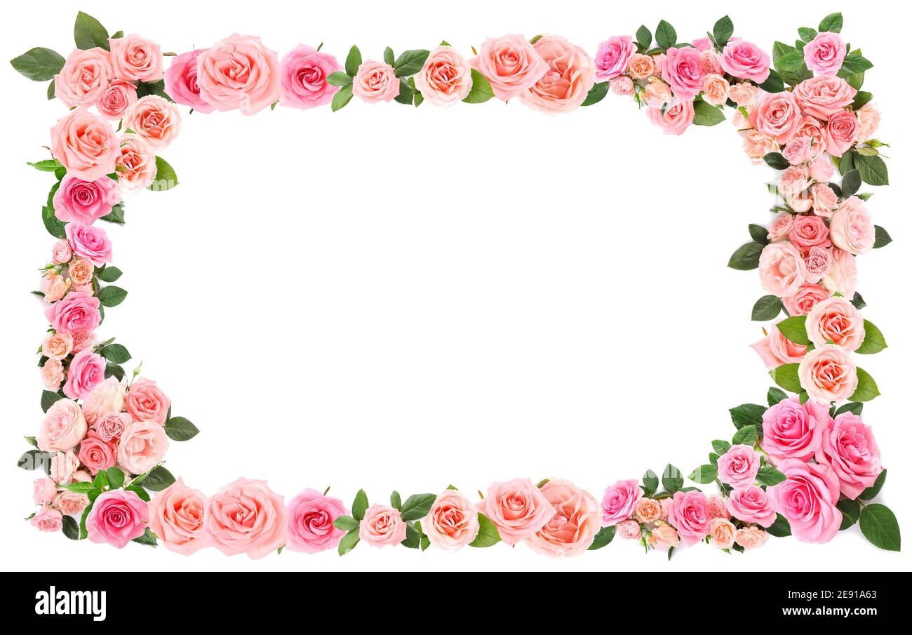 Frame made roses white Cut Out Stock Images Pictures Alamy