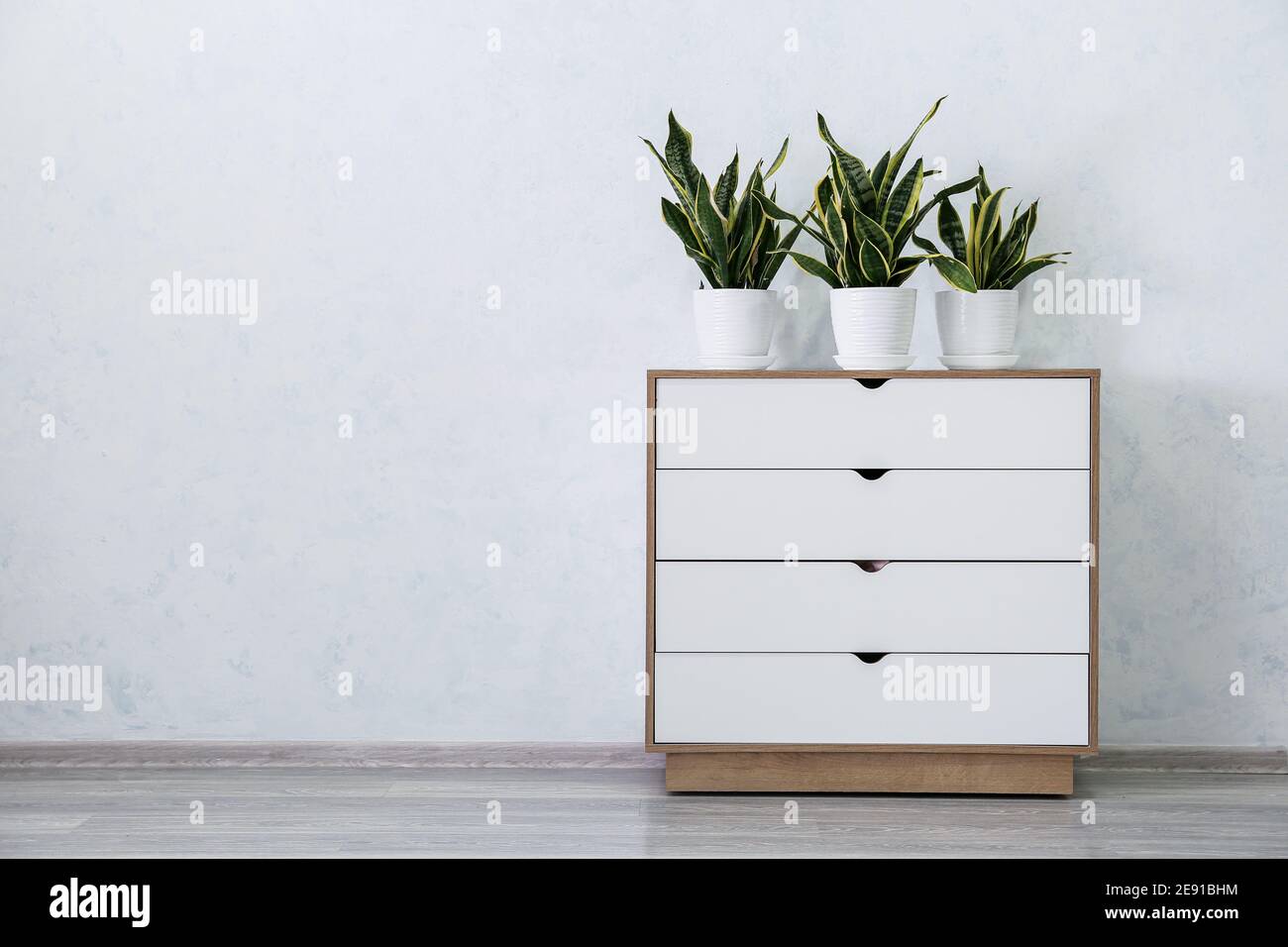 Houseplants on chest of drawers near white wall in room Stock Photo - Alamy