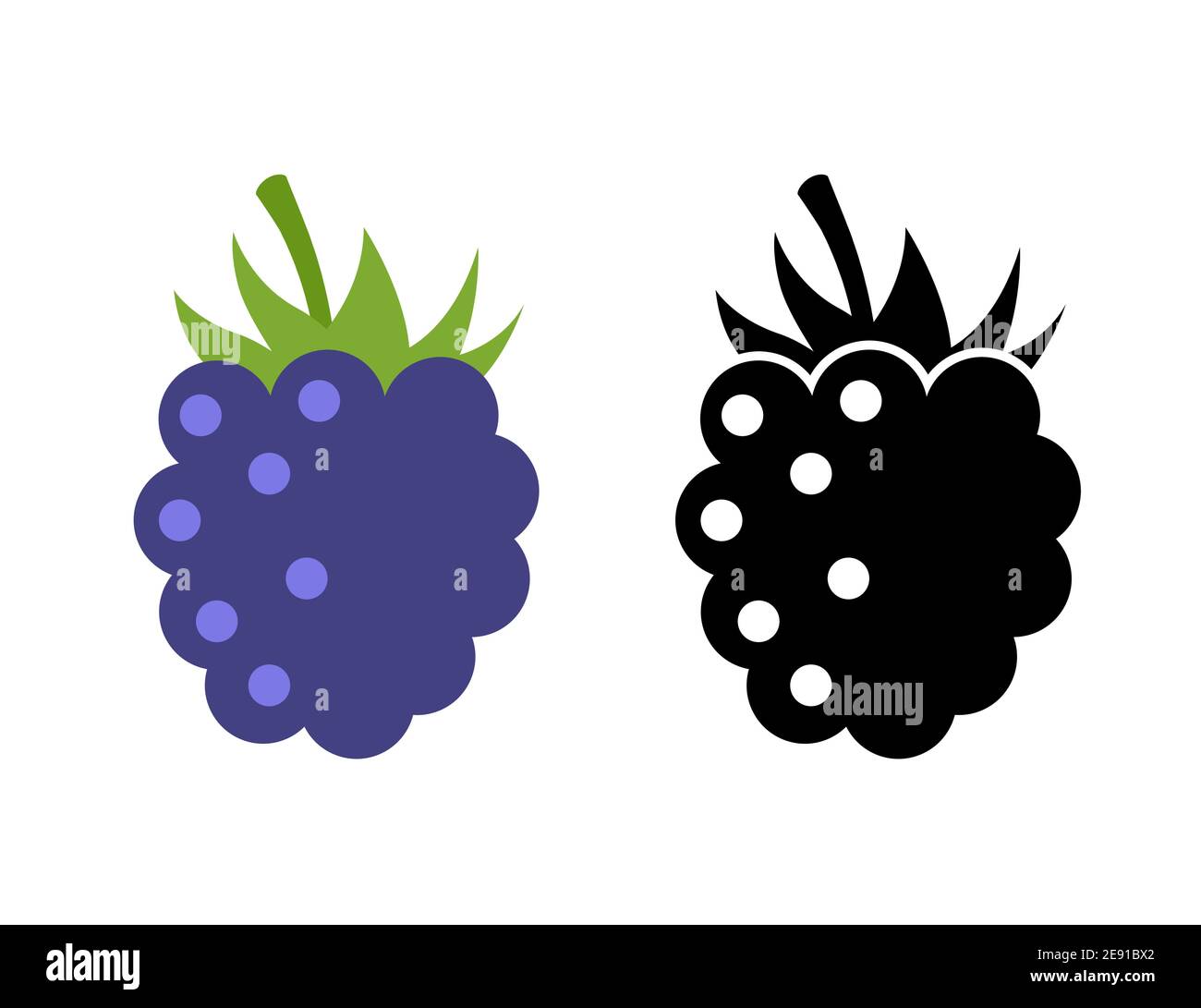 Raspberry vector icon illustration. Flat berry sweet healthy organic fruit raspberry blackberry Stock Vector