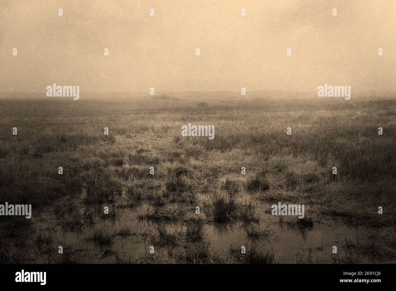 Stylized Foggy Grassland Background with Marsh, Gritty Sepia Texture, and Blank Space Stock Photo