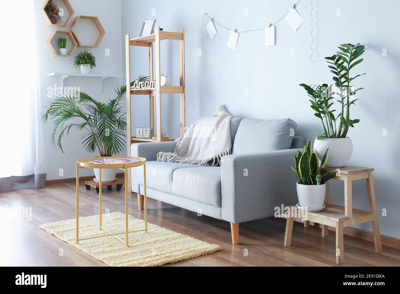 Stylish interior of living room with sofa Stock Photo - Alamy