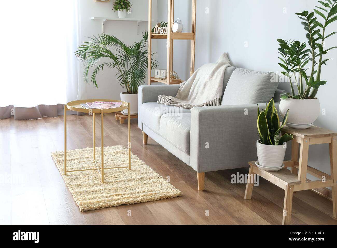 Stylish interior of living room with sofa Stock Photo - Alamy