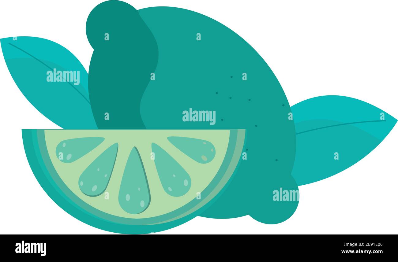 citrus lemon fruit fresh healthy meal vector illustration Stock Vector ...