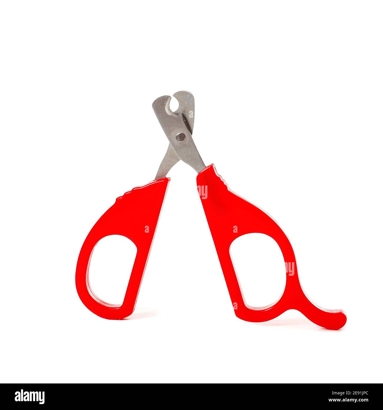 Claws clipper for pet on white background Stock Photo Alamy