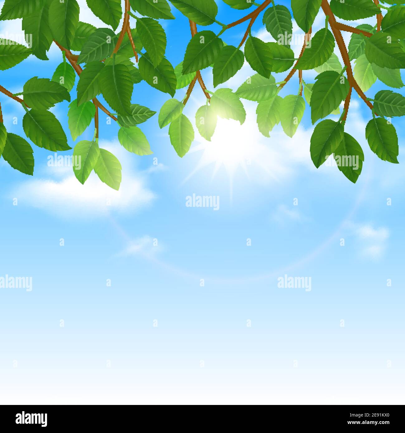 Eco world of nature friendly lifestyle green leaves and sky background  border poster print abstract vector illustration Stock Vector Image & Art -  Alamy