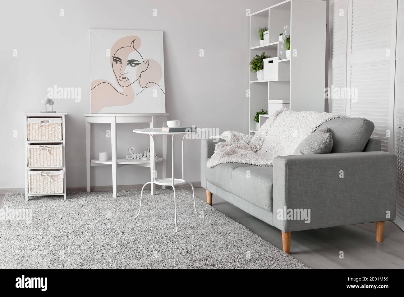 Stylish interior of living room with comfortable sofa Stock Photo - Alamy