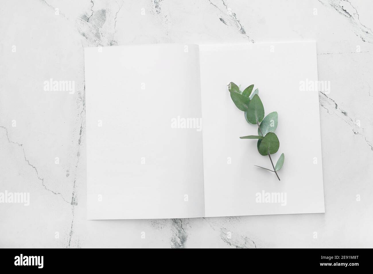 Blank magazine on light background Stock Photo - Alamy