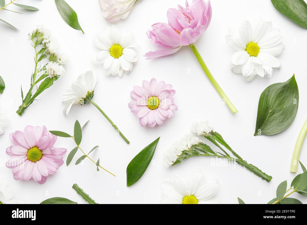 Beautiful spring flowers on white background Stock Photo - Alamy