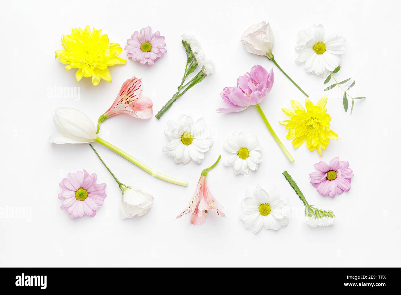Beautiful spring flowers on white background Stock Photo - Alamy
