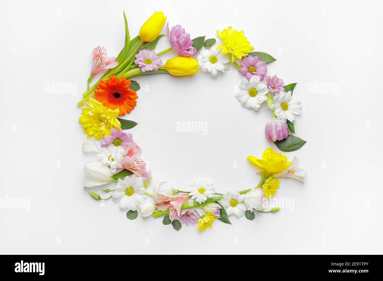 Frame made of beautiful flowers on white background Stock Photo - Alamy