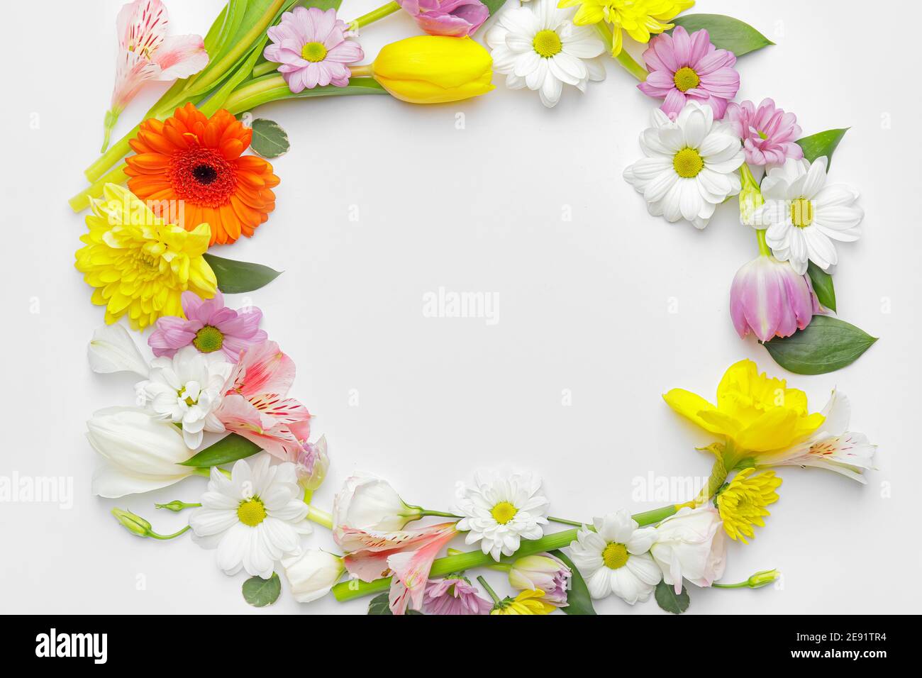 Frame made of beautiful flowers on white background Stock Photo - Alamy