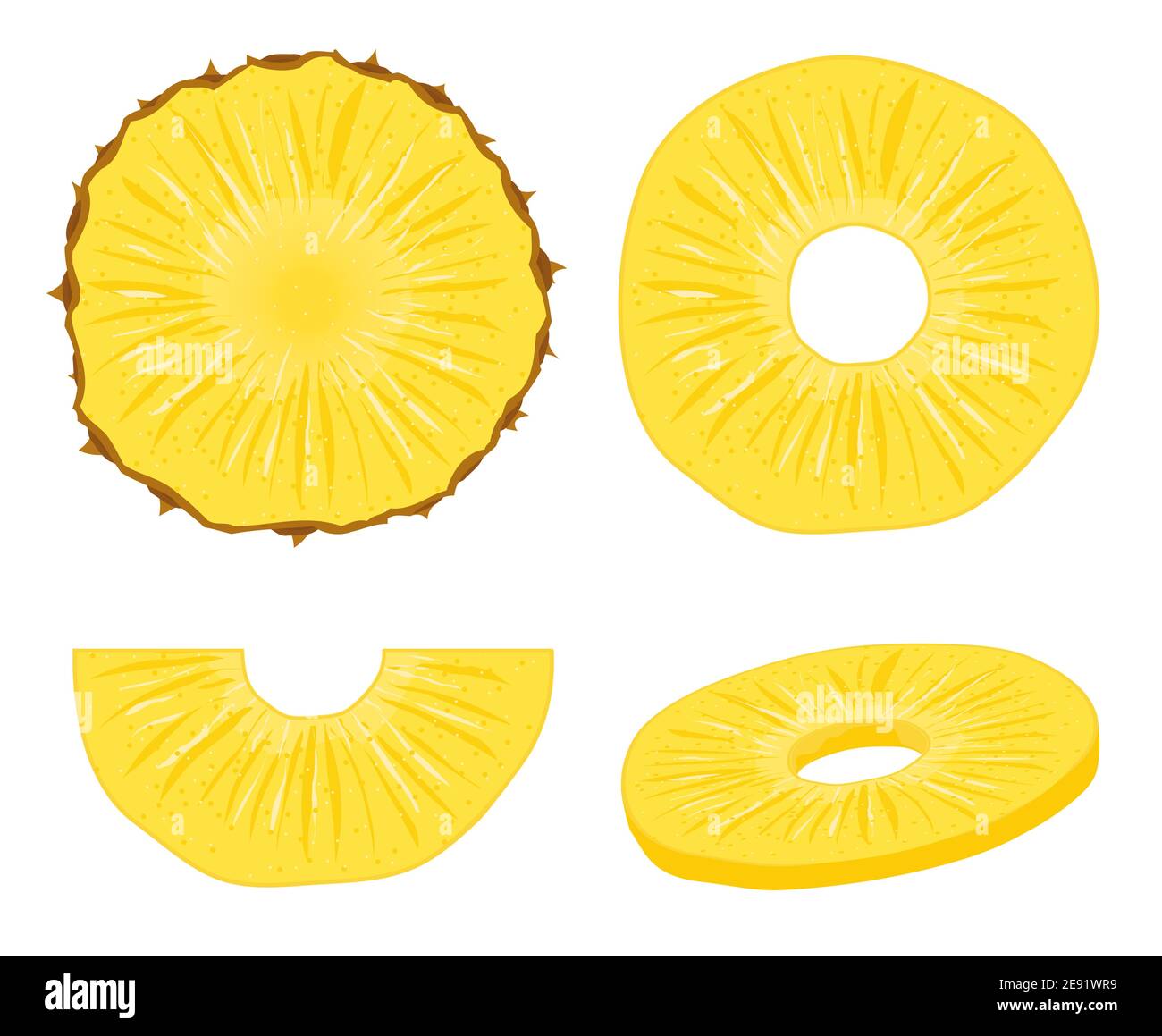 Pineapple vector slice fruit illustration. Realistic ananas piece isolated background, pineapple ring Stock Vector