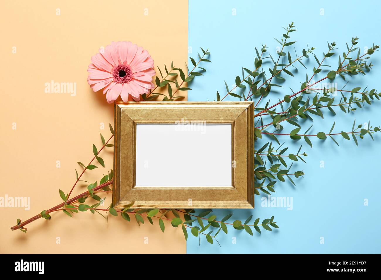 Beautiful composition with empty frame on color background Stock Photo ...