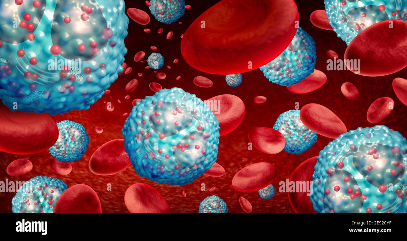 Eosinophil white blood cell concept inside the human body related to the immune system and allergy or asthma medical condition as cells. Stock Photo
