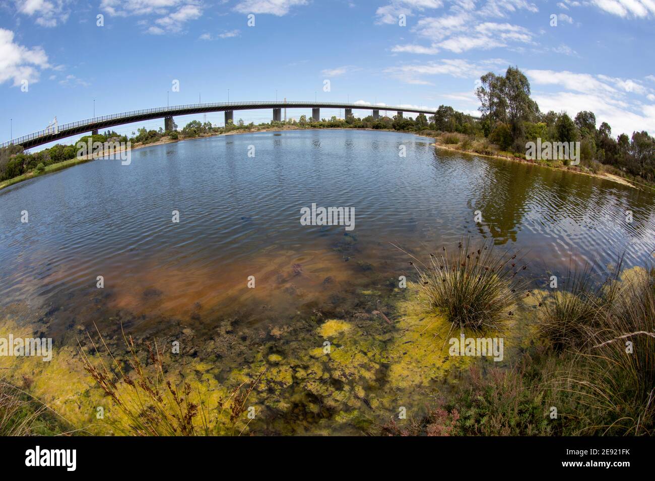 Abc News High Resolution Stock Photography And Images Alamy