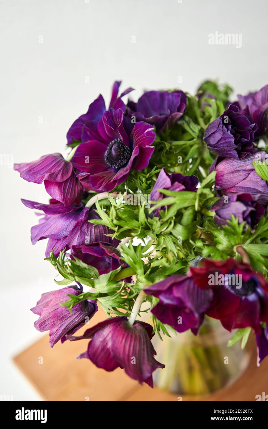 Magenta and violet gradient poppies anemones. Many flowers - great background. the work of the florist at a flower shop. Delivery fresh cut flower Stock Photo