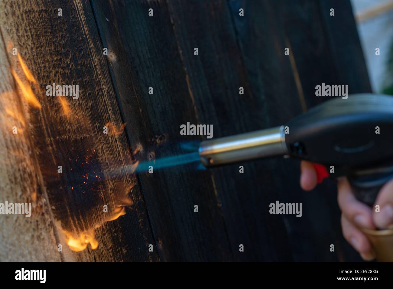 Professional carpenter using old traditional japanese technique