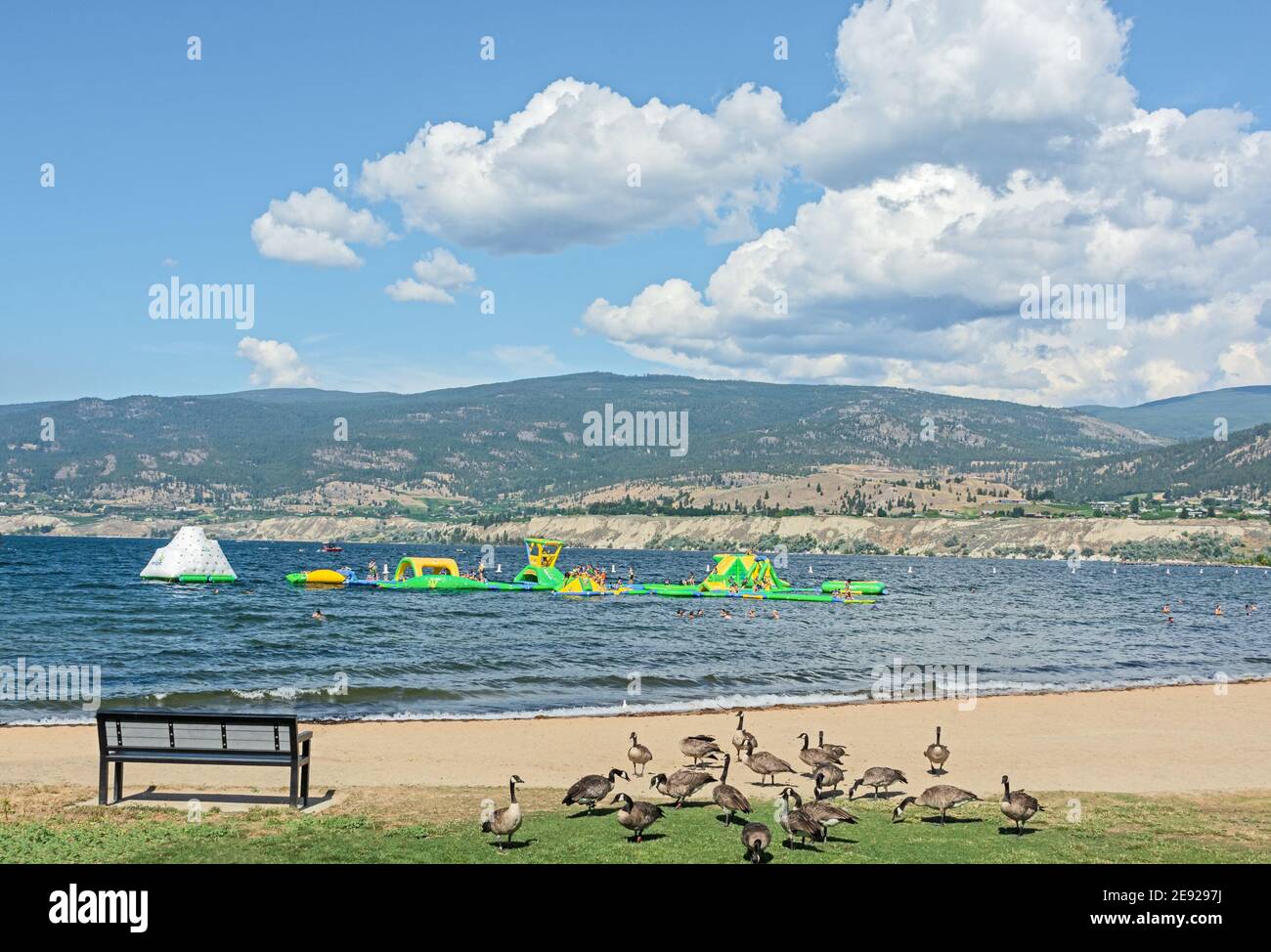 Sand beach and water soaking attraction on Okanagan lake Stock Photo Alamy
