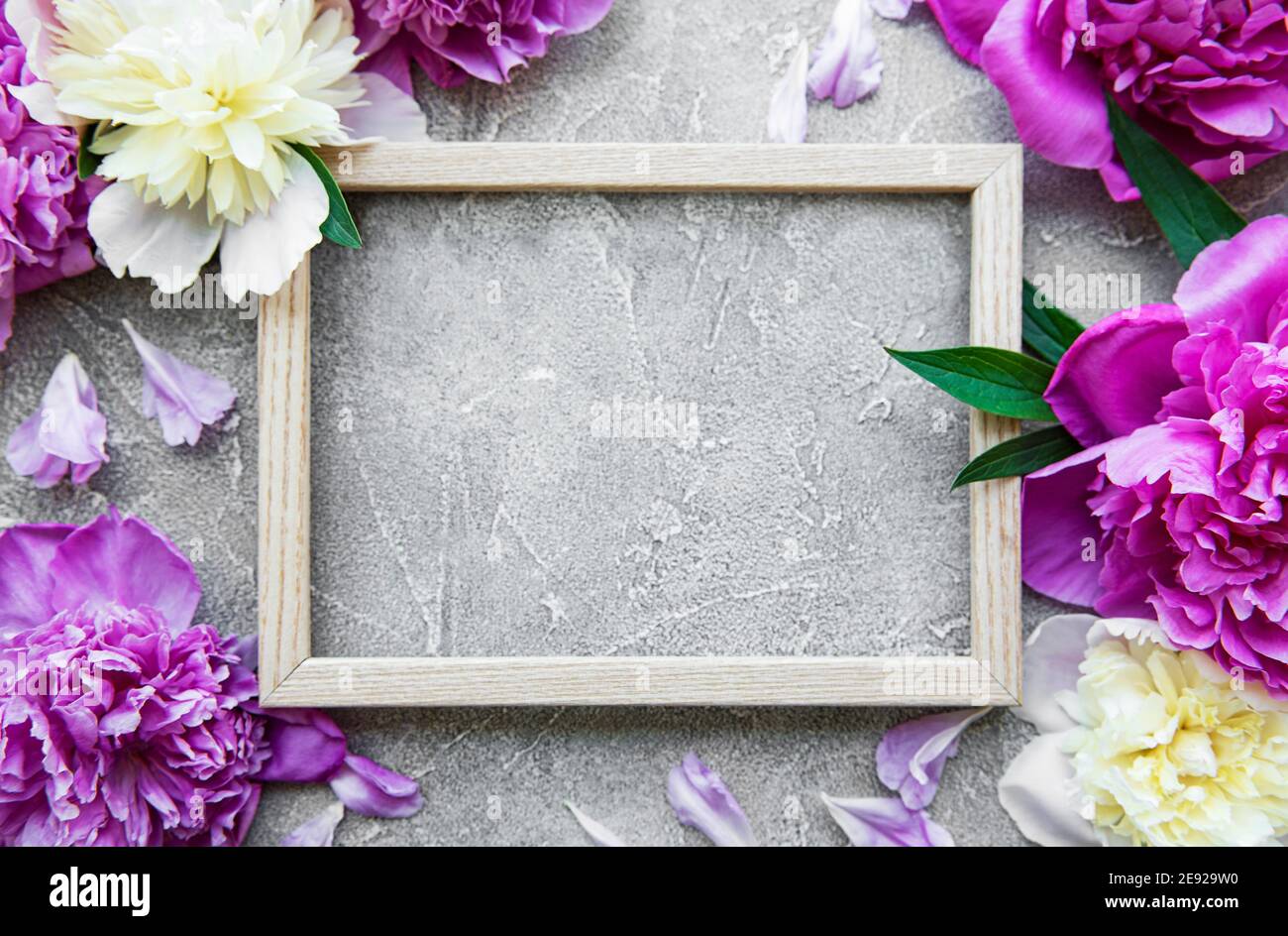 Wooden frame surrounded by beautiful pink peonies on a grey concrete ...