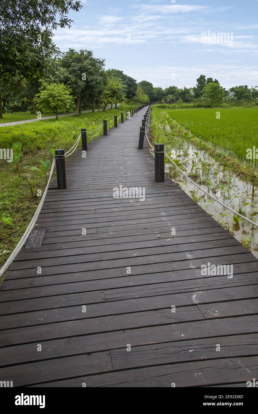 Guangdong jiangmen world cultural heritage "kaiping castle and ancient