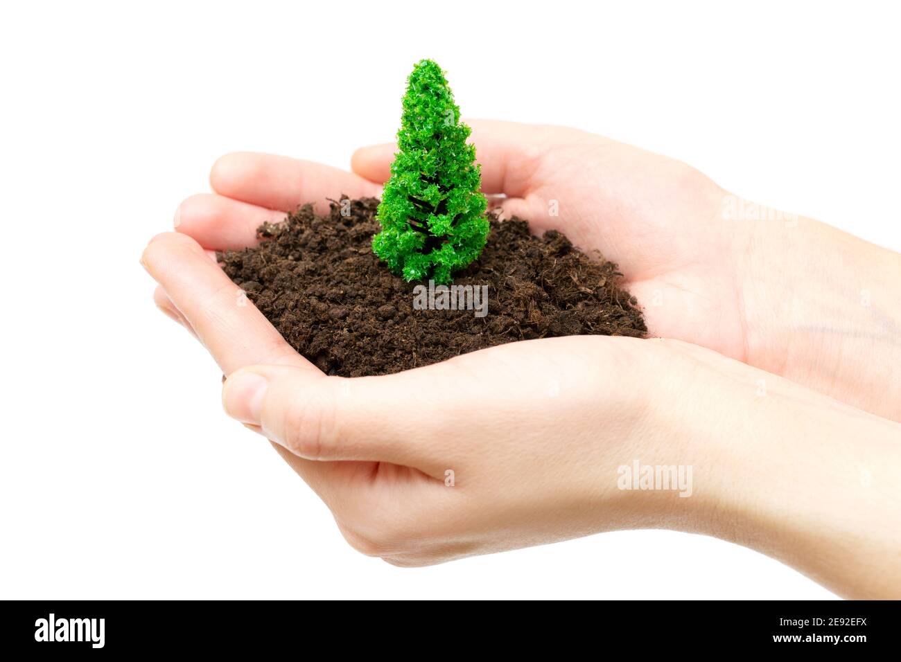 Female holding fertilized soil with a toy plastic tree. Parks care and protection concept. Stock Photo