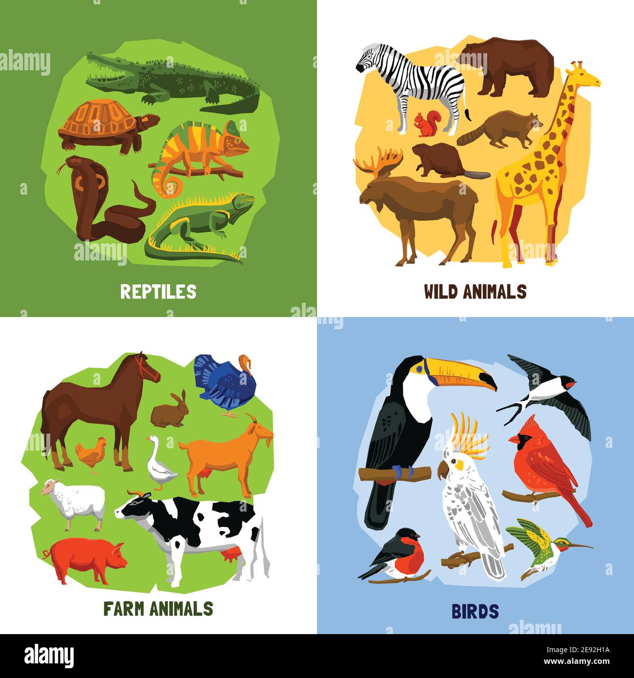 Cartoon 2x2 zoo images of animals sets grouped by reptiles birds wild and farm animals vector illustration Stock Vector Image & Art - Alamy Cartoon 2x2 zoo images of animals sets grouped by reptiles birds wild and farm animals vector illustration Stock Vector Image & Art - Alamy