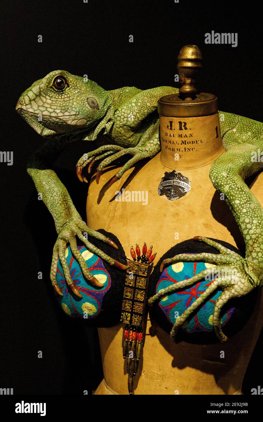 Bizarre Bras entrant aBRAcalypse Now by Wendy Moyer on display at the WoW World of Wearable Art Museum, Nelson, New Zealand. Stock Photo