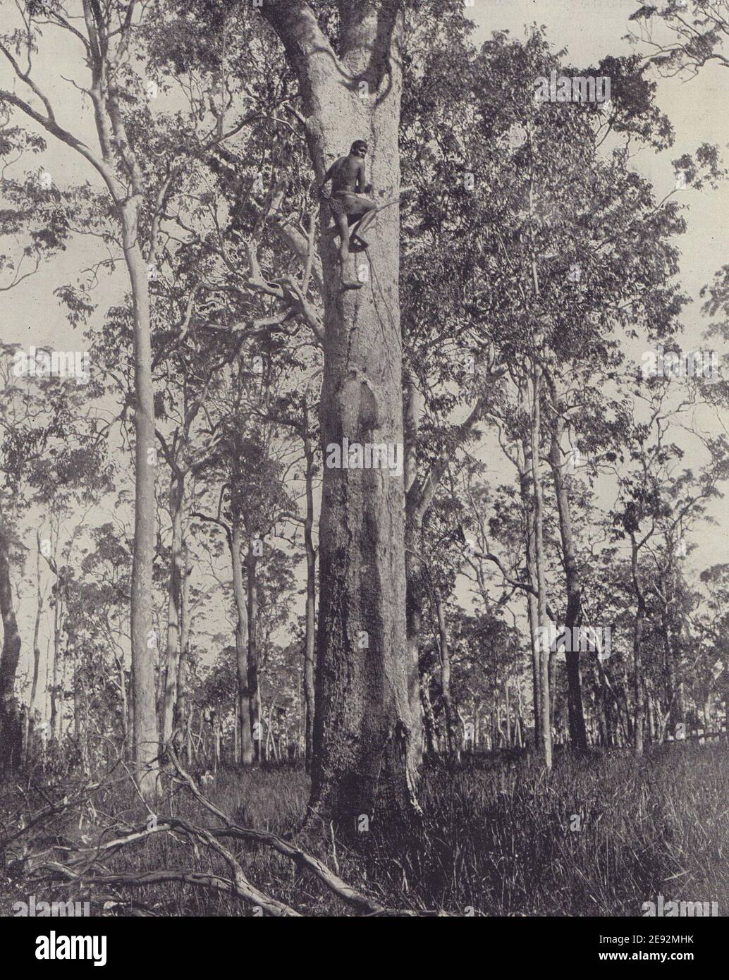 Aboriginal hi-res stock photography and images - Alamy