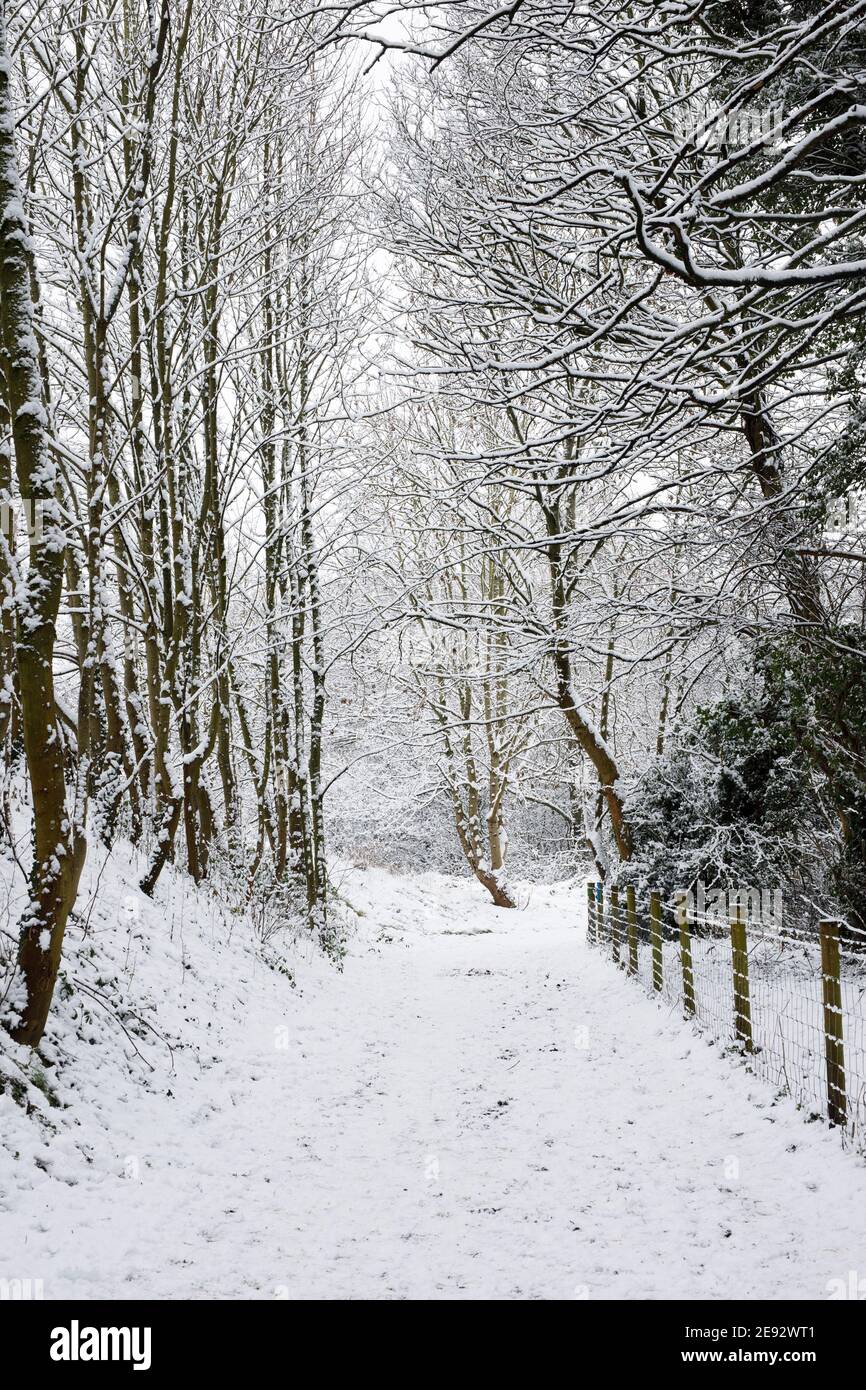 Snowy footpath in Winter. Stock Photo