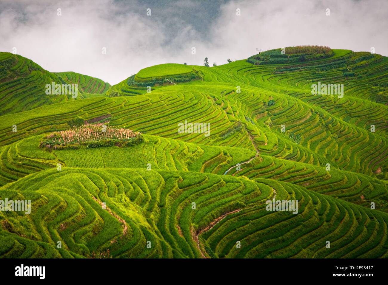 China guangxi longsheng dragon ridge terraces hi-res stock photography ...