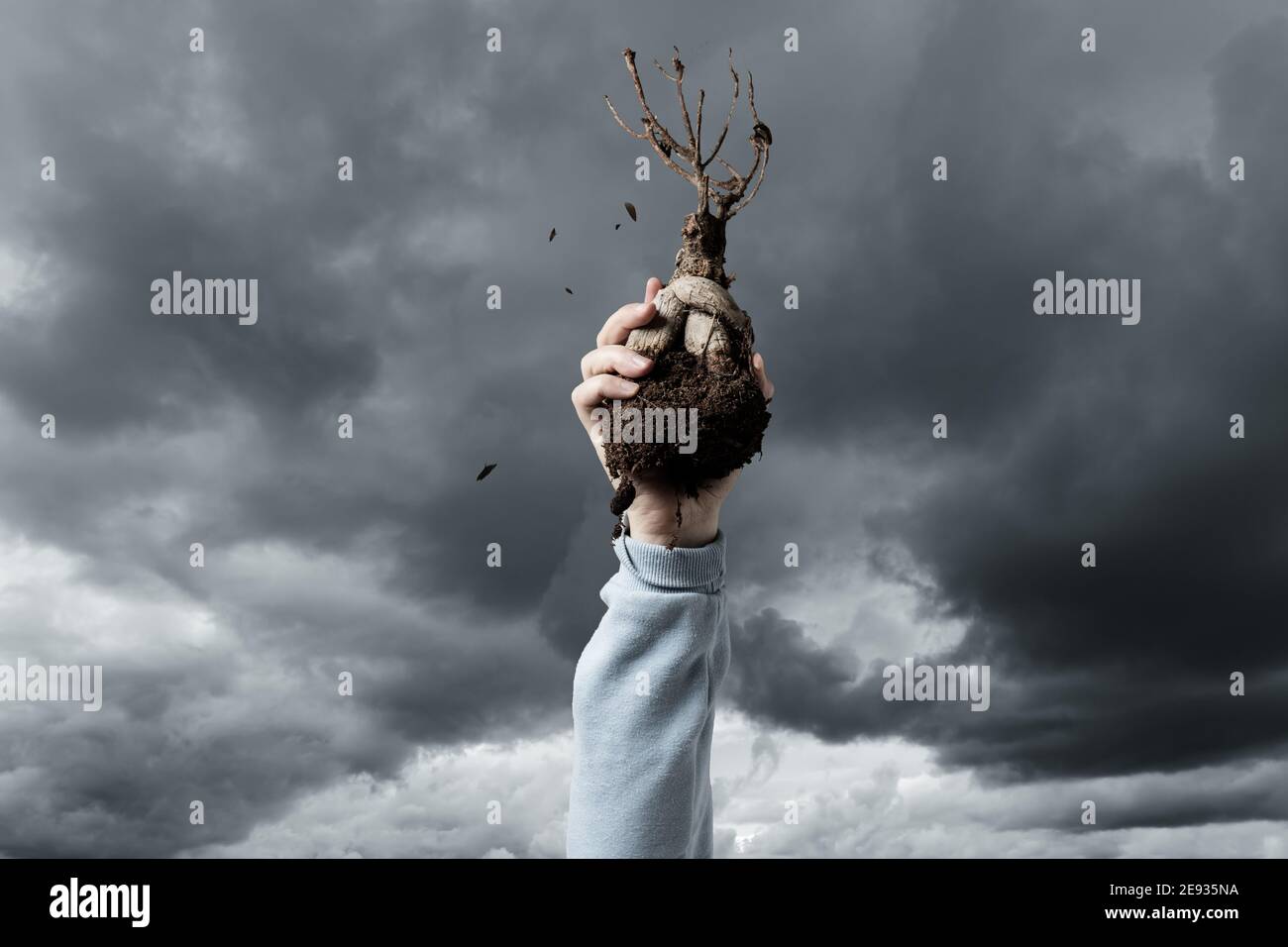 hand holding a dried up tree in the air. Concept climate change Stock Photo