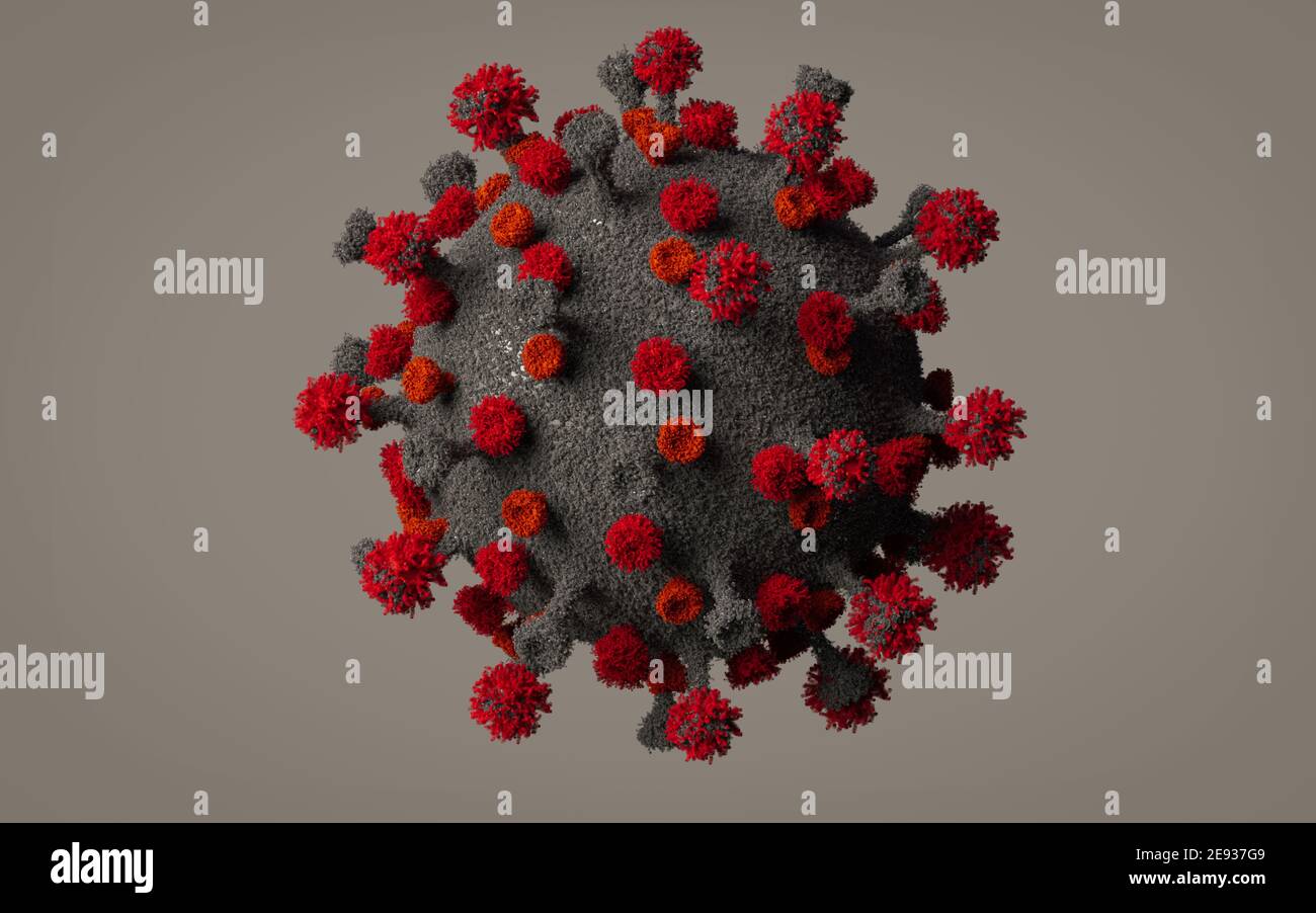 How the coronavirus (SARS-CoV-2) infects human cells Stock Photo