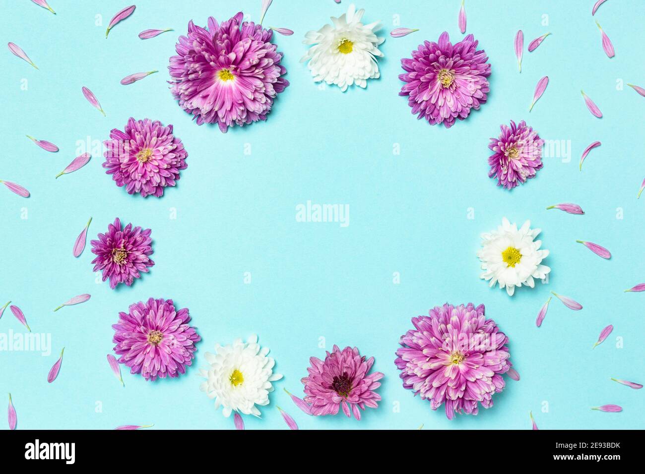 Flowers composition. Frame made of colorful flowers on pastel blue ...