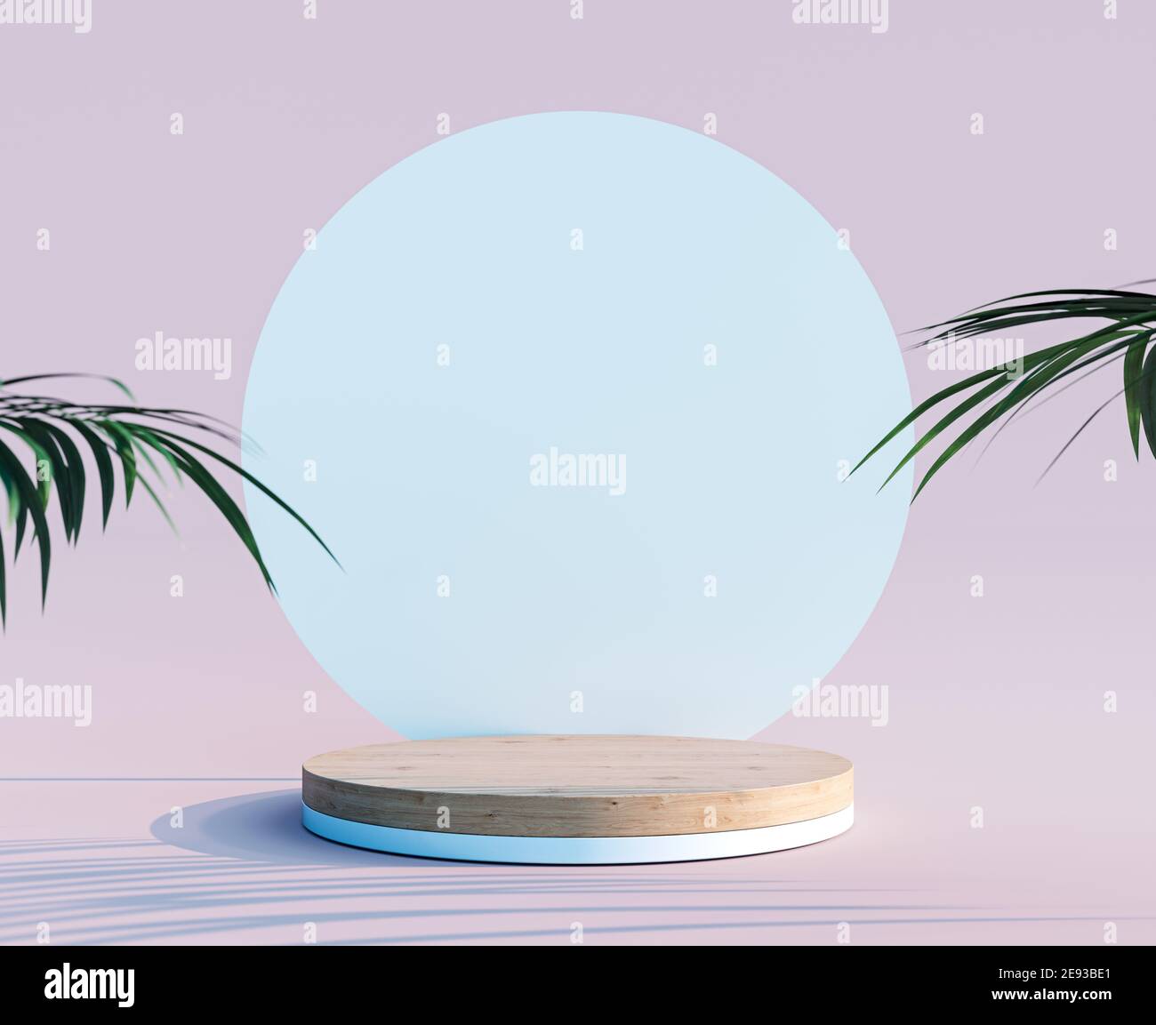 Empty wooden circle podium with white background and plant decoration 3D Rendering Stock Photo