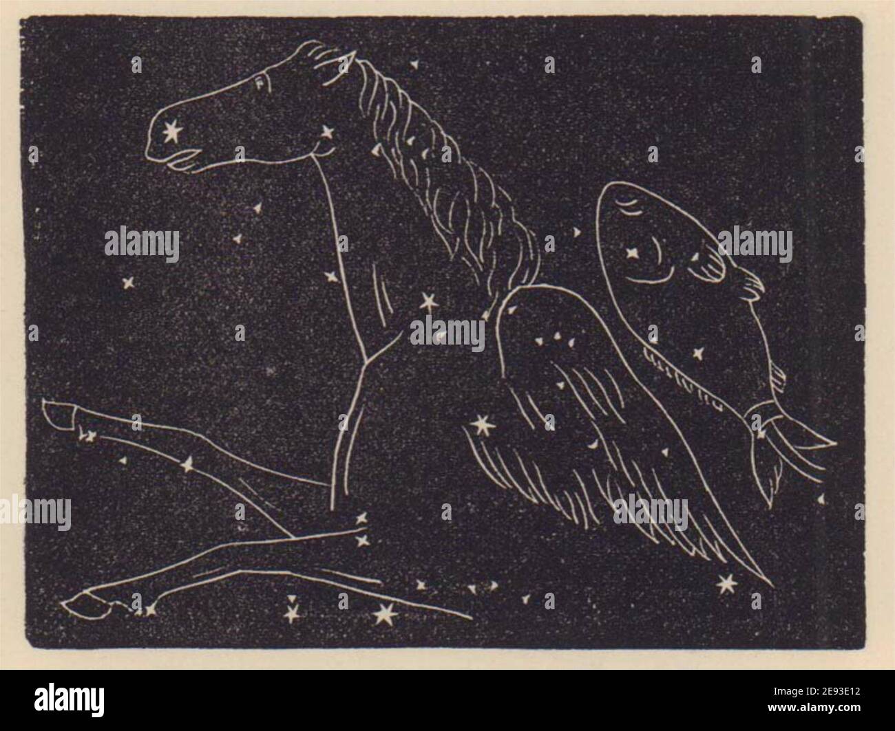 Pegasus and one of the Fishes. Star chart. SMALL. PROCTOR 1881 old print Stock Photo