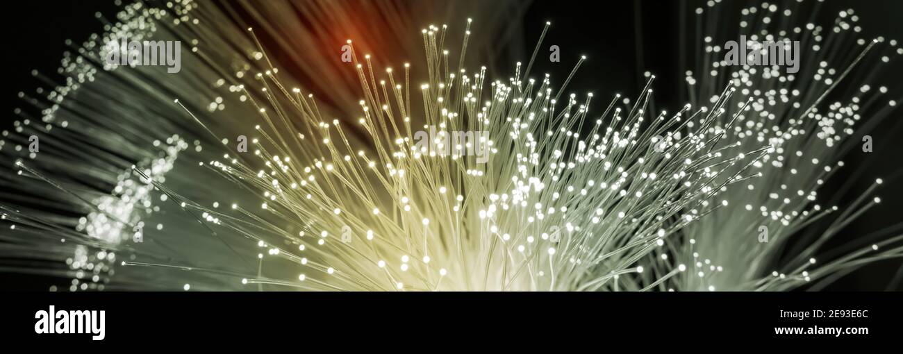 optical fibres dinamic flying from deep on technology background Stock Photo