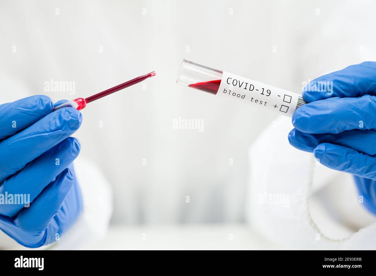 Lab technician dropping blood sample in test tube container using pipette,COVID-19 blood test procedure,detail closeup of hands in gloves storing spec Stock Photo
