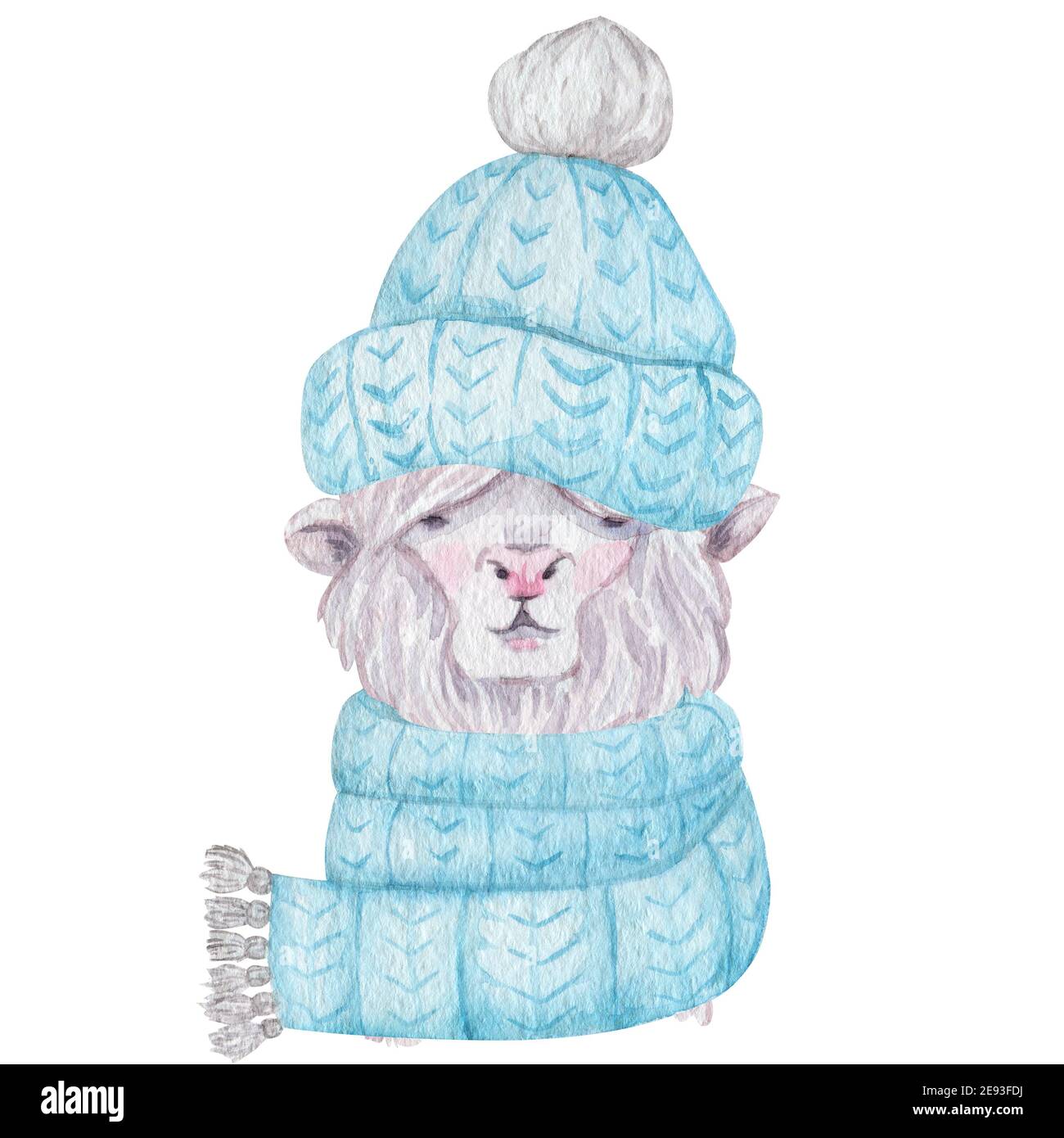 Cute llama wearing warm scarf and hat isolated on white background