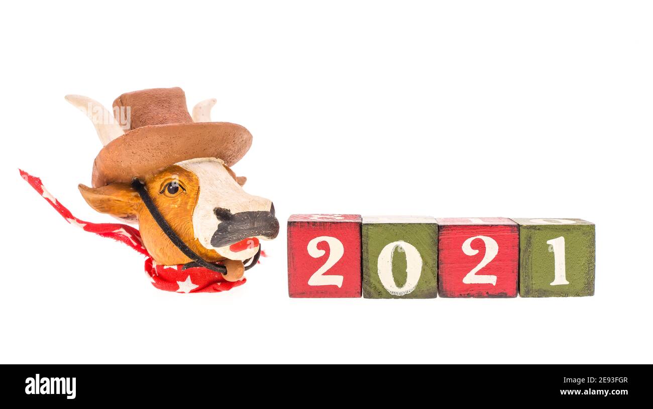 Statuette of Bull on a stand with the number 2021,symbol of the new year 2021 Stock Photo